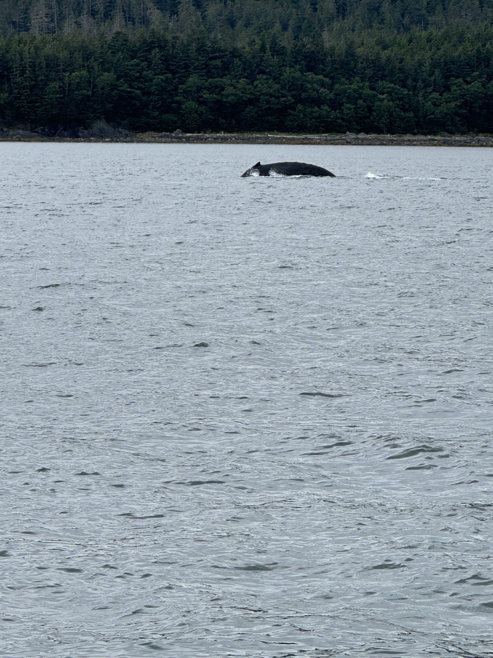 IMG_3768 scaled